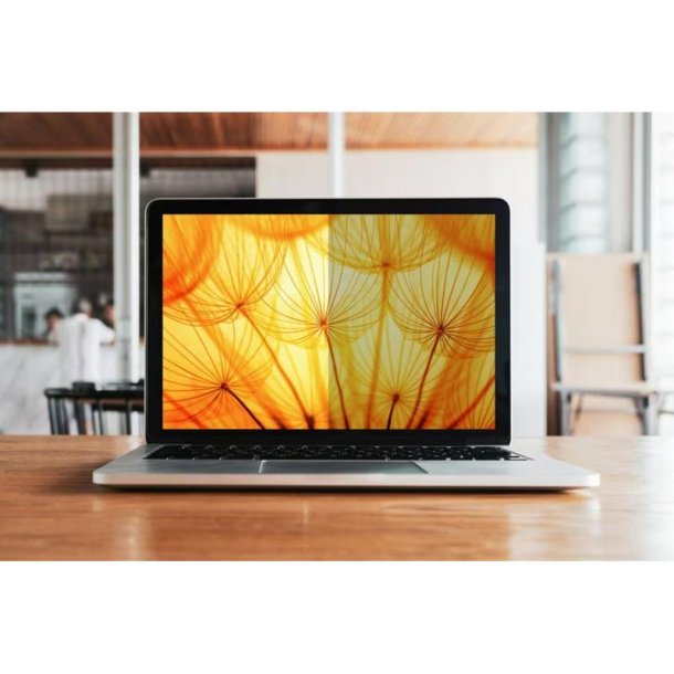 3M - BP141W1B - 35.8 cm (14.1") - Laptop - Frameless display privacy filter - 35.8 cm - Matte-to-Glossy - Anti-glare