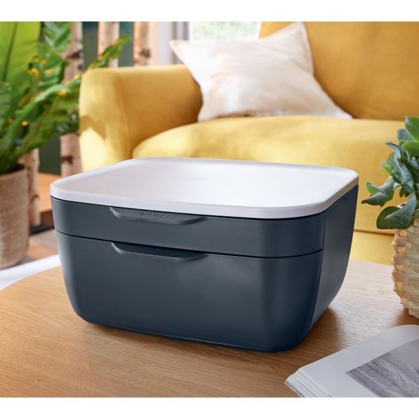 Leitz Skuffekabinet Click &amp; Store Cosy A5 - 2 skuffer - fljlsgr