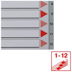 Esselte A4 Register - Kraftig pp - 1-12 - med pile-design - gr