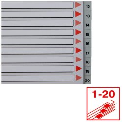 Esselte A4 Register - Kraftig pp - 1-20 - med pile-design - gr