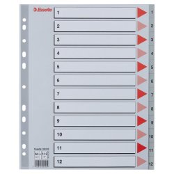 Esselte A4 maxi Register - Kraftig pp - 1-12 - gr