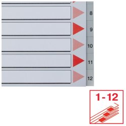 Esselte A4 maxi Register - Kraftig pp - 1-12 - gr