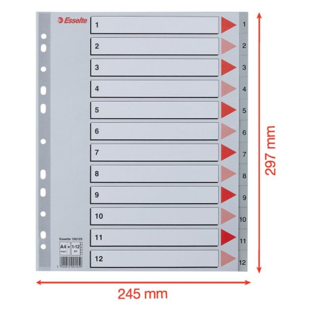 Esselte A4 maxi Register - Kraftig pp - 1-12 - gr