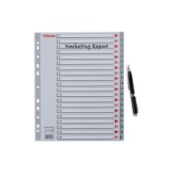 Esselte A4 maxi Register - Kraftig pp - 1-20 - gr