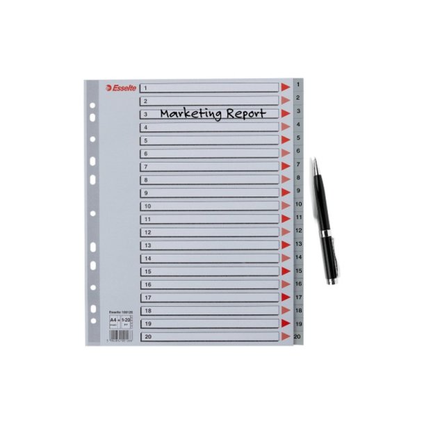 Esselte A4 maxi Register - Kraftig pp - 1-20 - gr