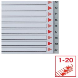 Esselte A4 maxi Register - Kraftig pp - 1-20 - gr