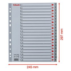 Esselte A4 maxi Register - Kraftig pp - 1-20 - gr