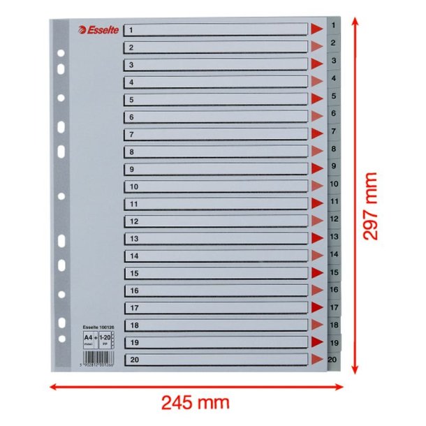 Esselte A4 maxi Register - Kraftig pp - 1-20 - gr