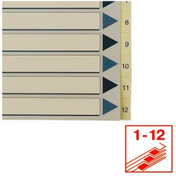 Esselte Register PP A4 1-12 hvid Kraftig hvid PP-folie - forstrket hulkanten - Pile-design.