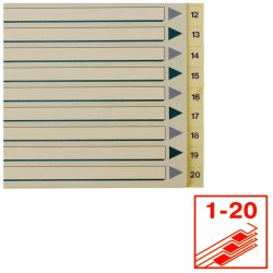 Esselte Register PP A4 1-20 hvid Kraftig hvid PP-folie - forstrket hulkanten - Pile-design.