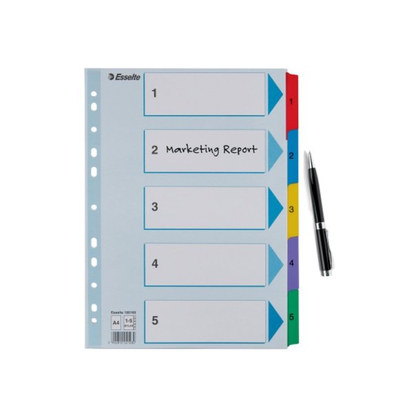 Esselte A4 Register - Mylar - karton - 1-5