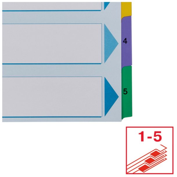 Esselte A4 Register - Mylar - karton - 1-5