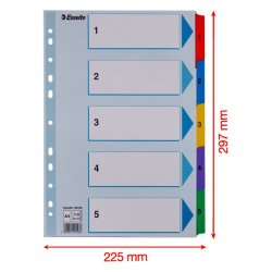 Esselte A4 Register - Mylar - karton - 1-5