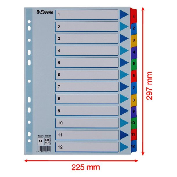 Esselte A4 Register - Mylar - strk karton - 1-12 - hvid