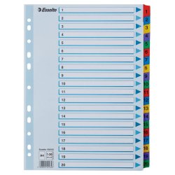 Esselte A4 Register - Mylar - karton - 1-20
