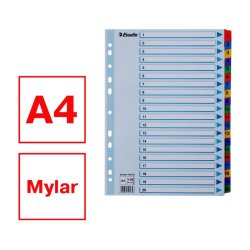 Esselte A4 Register - Mylar - karton - 1-20