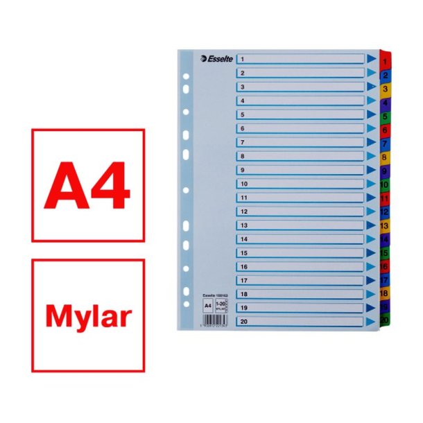 Esselte A4 Register - Mylar - karton - 1-20