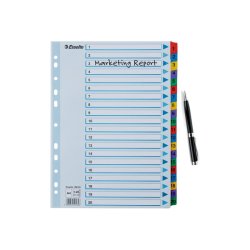 Esselte A4 Register - Mylar - karton - 1-20