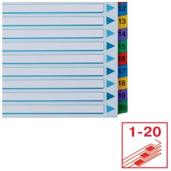 Esselte A4 Register - Mylar - karton - 1-20