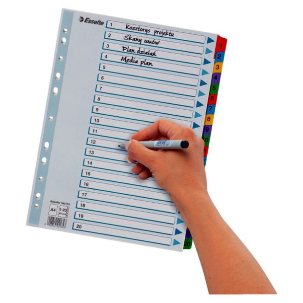 Esselte A4 Register - Mylar - karton - 1-20
