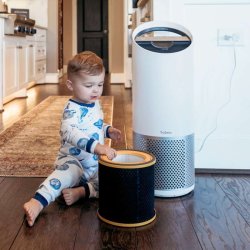 Leitz Trusens Kulfilter - lugt og VOC - til TruSens Z-3000