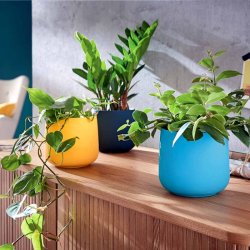 Leitz Urtepotte - Cosy - keramisk - bl