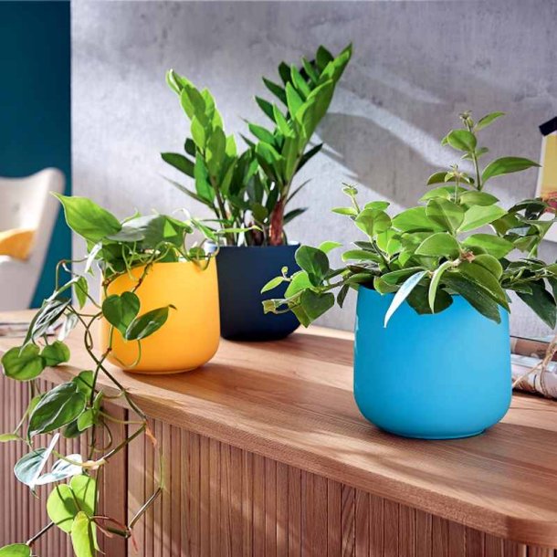 Leitz Urtepotte - Cosy - keramisk - bl