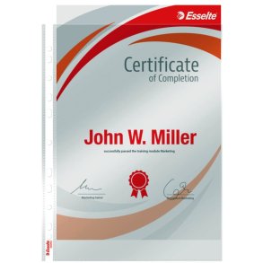 Esselte plastlommer A4 - 105my - glasklar - 100 stk.