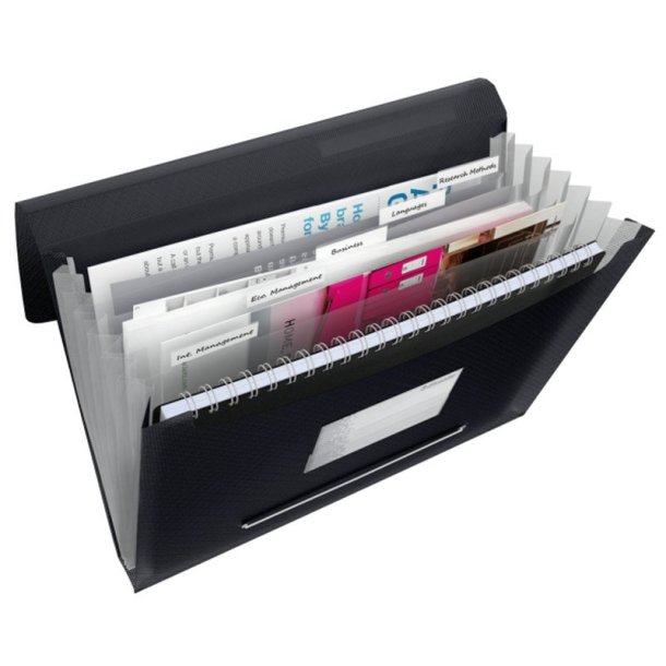 Esselte A4 Projektmappe - Ekspanderende - Vivida - PP - sort