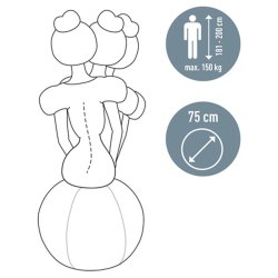 Leitz lys gr Balancebold - 65 cm - Aktiv siddebold med Anti-rul-vk funktion