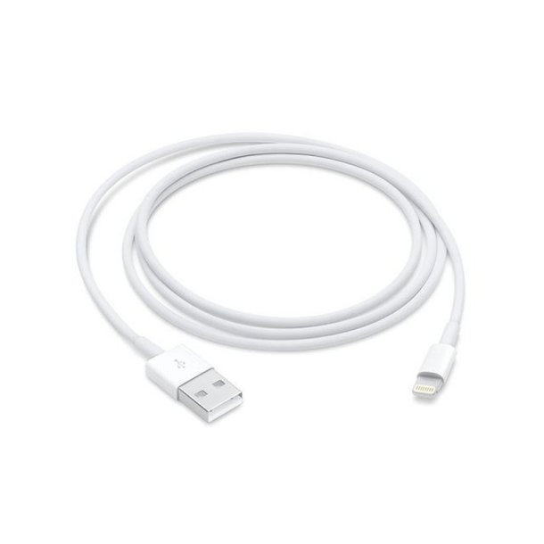 Apple Lightning-kabel - Lightning han til USB han - 50 cm - til iPad/iPhone/iPod (Lightning)