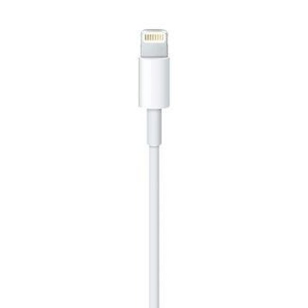Apple Lightning-kabel - Lightning han til USB han - 50 cm - til iPad/iPhone/iPod (Lightning)