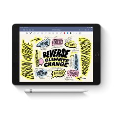 Apple Pencil - 1. Generation - hvid