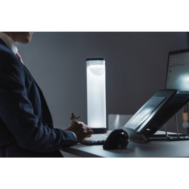 BakkerElkhuizen Energy By Light - Ambient lysfordeler - 38,5x10,4cm - sort ramme