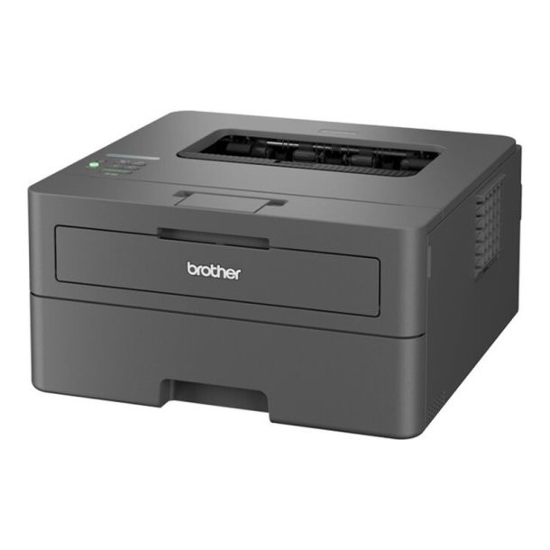 Brother HL-L2445DW - A4 - mono printer - duplex - trdls