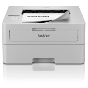 Brother HL-L2865DW - A4 - mono printer - duplex - trdls