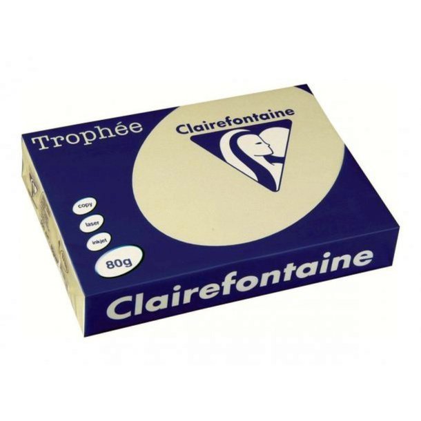 Clairefontaine Trophee farvet papir - A3 - 80g - lys gr - 500 ark