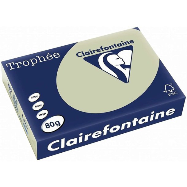 Clairefontaine Trophee farvet papir - A3 - 80g - stlgr - 500 ark