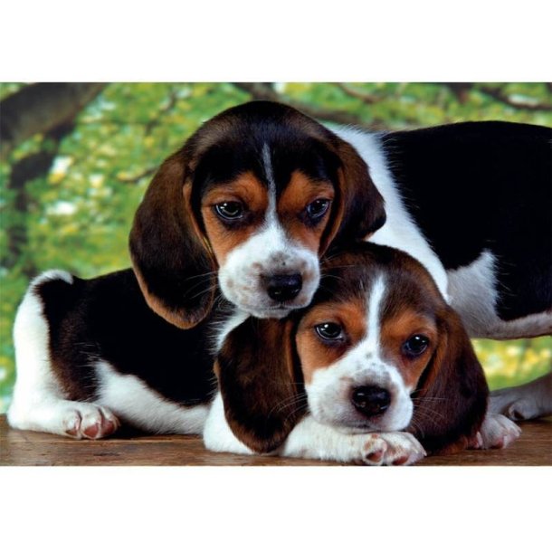 Clementoni puslespil 500 brikker - CB HQC Close Together