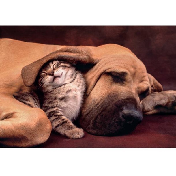 Clementoni puslespil 500 brikker - CB HQC Cuddles