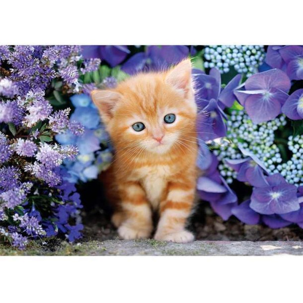 Clementoni puslespil 500 brikker - CB HQC Ginger Cat