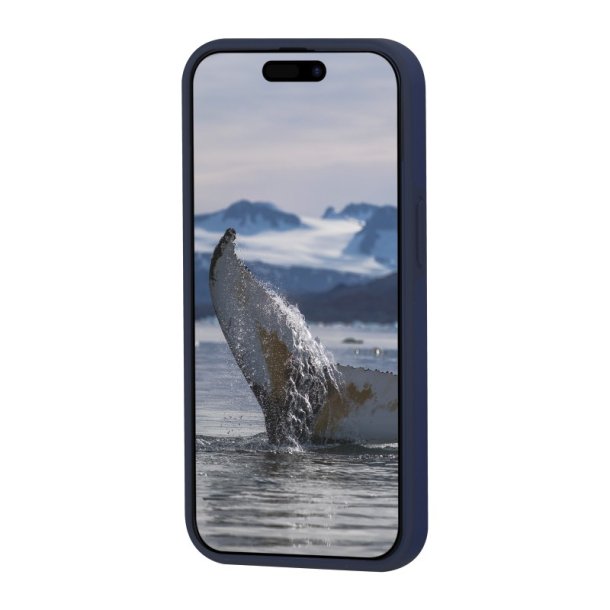 dbramante1928 Iceland Ultra mobiltelefon etui 17 cm (6.7") Cover Bl