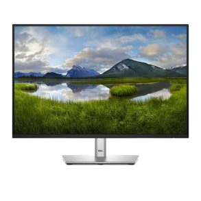 Dell P2425E 24.1