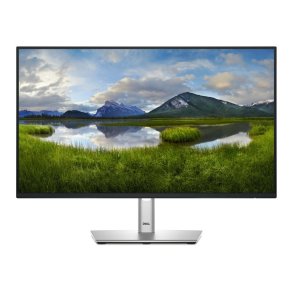 DELL Pro Plus P2425H sk�rm - 23.8