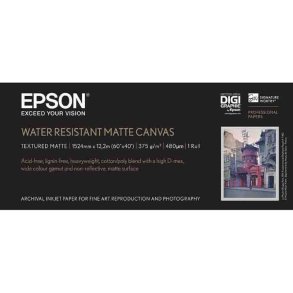 Epson 60