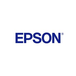 Epson Singlepack Light Magenta 250 ink RF/AM Tag Original