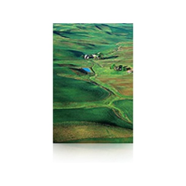 Epson 60" Premium Semi-Glossy fotopapir - 1524mm x 30,5m - 260g - 1 rulle papir