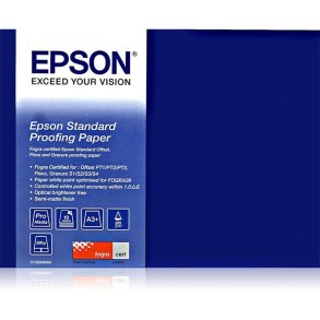 Epson 17