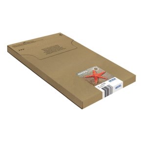 Epson original bl�kpatron T603XL Multipack - S/C/M/Y XL - 8,9/4ml - 603XL S�stjerne