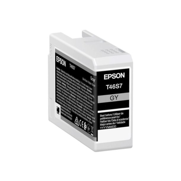 Epson original blkpatron T46S - Gr - 25 ml - UltraChrome Pro10